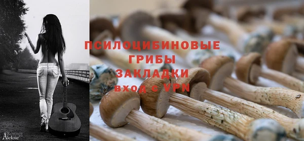 PSILOCYBIN Арсеньев