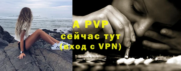 сатива Аркадак