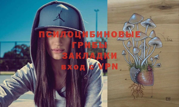 PSILOCYBIN Арсеньев