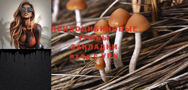 PSILOCYBIN Арсеньев