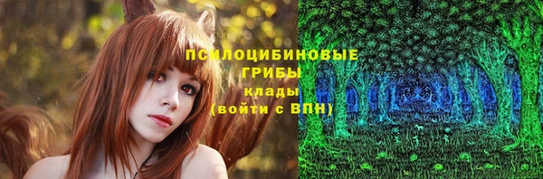 сатива Аркадак