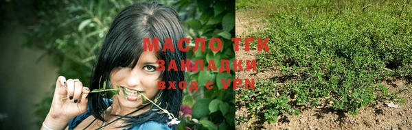 сатива Аркадак