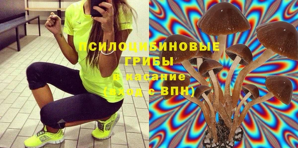 сатива Аркадак
